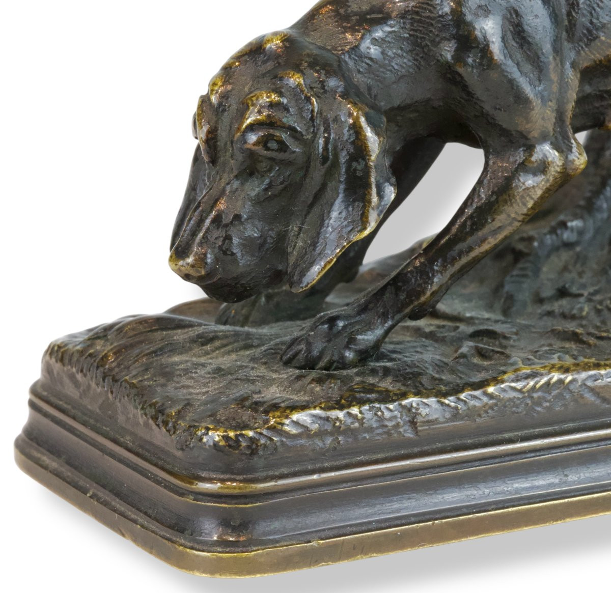 Alfred Dubucand - Cane Da Caccia In Bronzo - Francia XIX Secolo-photo-3